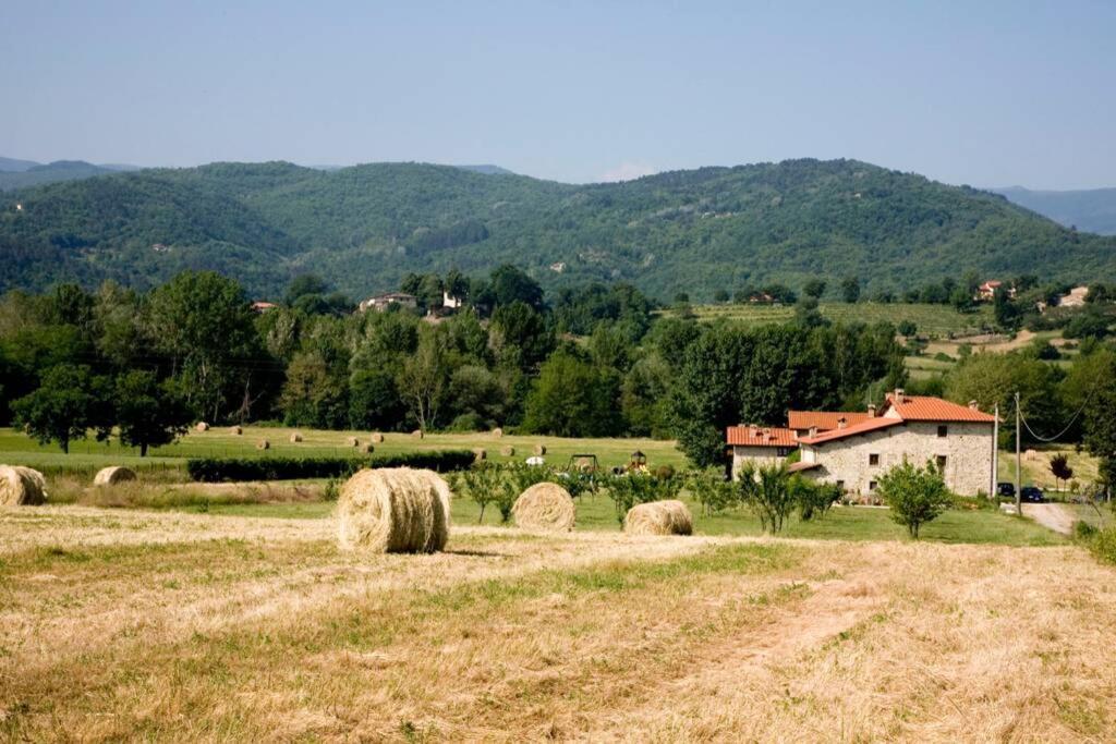 Villino In The Hearth Of Tuscany, Quiet Unforgettable Place. Poppi Esterno foto